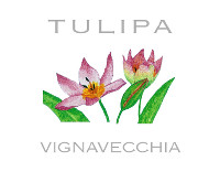 Tulipa 2013, Fattoria Vignavecchia (Italia)
