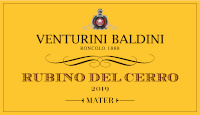 Reggiano Lambrusco Spumante Rubino del Cerro 2019, Venturini Baldini (Italia)