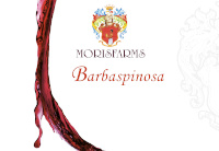 Maremma Toscana Rosso Barbaspinosa 2017, Moris Farms (Italia)
