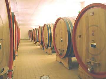 La botte  il contenitore pi utilizzato per
la maturazione dei vini rossi