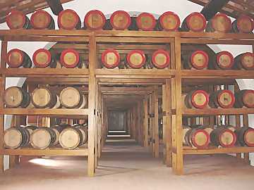 The suggestive Avignonesi's
vinsantaia where caratelli of precious Vin Santo ages for the ten years