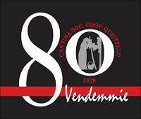 80 Vendemmie Rosso 2010, Cantina di Quistello (Italy)