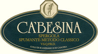 Colli di Scandiano e Canossa Ca' Besina Metodo Classico 2003, Casali Viticoltori (Italy)