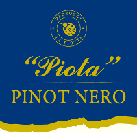 Pinot Nero dell'Oltrepò Pavese Piota 2013, La Piotta (Italy)