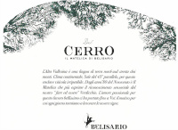 Verdicchio di Matelica Vigneti del Cerro 2020, Belisario (Italy)