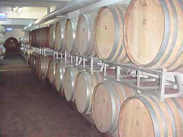 A view of Terre de' Trinci's cellar. In these
barriques Sagrantino patiently ages and wait for time to make its course