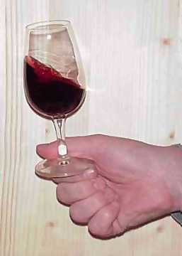 How to grip the tasting glass