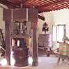 An ancient wine press of 1700, one of the many historical patrimonies of Castel Pietraio