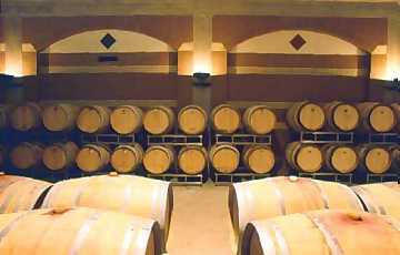 A view of Casale del Giglio's
cellar