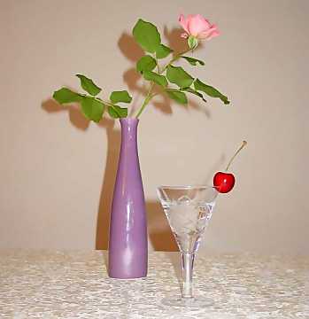 Vodka is frequently used for the
preparation of cocktails and it is appreciated by many as plain