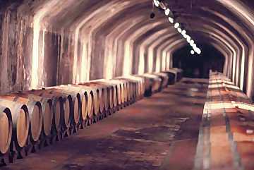 The wines aging cellar