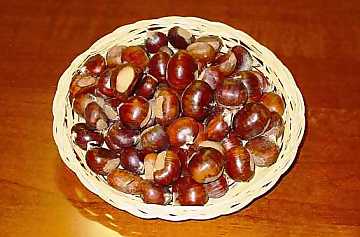 Chestnuts: dainty fruits of autumn