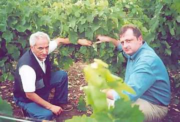 Pasquale Carparelli and Francesco
Liantonio, wine maker and chairman of Torrevento