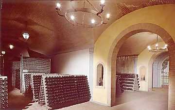 A view of the cellars where
Franciacorta bottles age