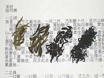 Da sinistra a destra: tè bianco, tè verde,
tè semifermentato, tè nero. Sullo sfondo il primo capitolo del Cha Jing di Lu Yu