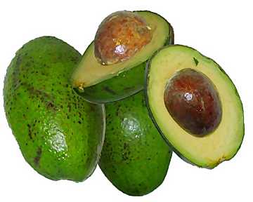 Frutti di avocado