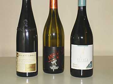 The three Pinot Blanc of our
comparative tasting