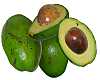 Frutti di avocado