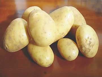 Le patate sono gli ortaggi pi diffusi al
mondo e i pi importanti per l'alimentazione umana