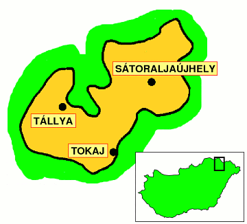 La regione vinicola di Tokaj-Hegyalja