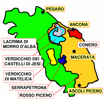 Le principali aree vinicole della Marche
