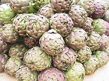 Artichokes: light, nutrient, tasty and very
versatile in cooking