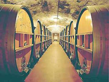 Cellar: the place where the wine ages
inside casks