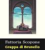 Grappa di Brunello, Fattoria Scopone (Tuscany, Italy)