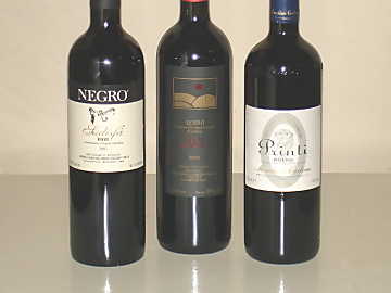 The three Roero Rosso wines
of our comparative tasting