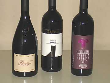 The three Alto Adige
Lagrein wines of our comparative tasting
