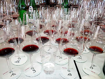 La degustazione dei vini rossi a
TasteUmbria