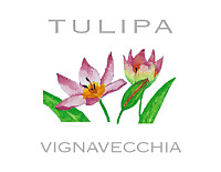 Tulipa 2013, Fattoria Vignavecchia (Tuscany, Italy)