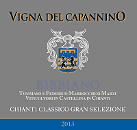Chianti Classico Gran Selezione Vigna del Capannino 2013, Bibbiano (Toscana, Italia)