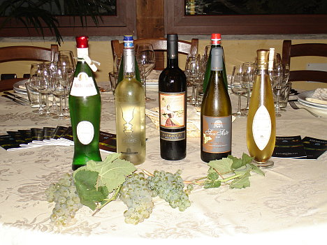 The five wines of Fazi Battaglia tasted during the event and some bunches of Verdicchio