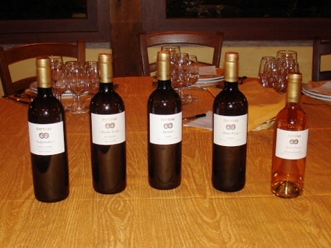 The five wines of Fattori tasted during the event