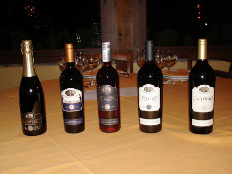 I cinque vini di Cantine del Notaio degustati nel corso dell'evento