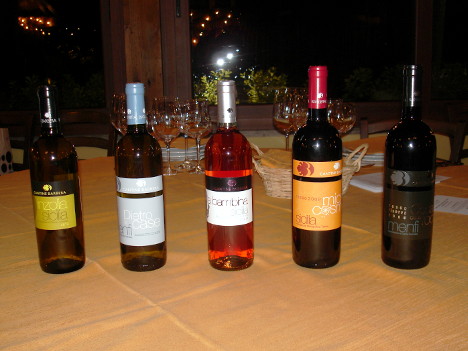 The five wines of Cantine Barbera tasted during the event