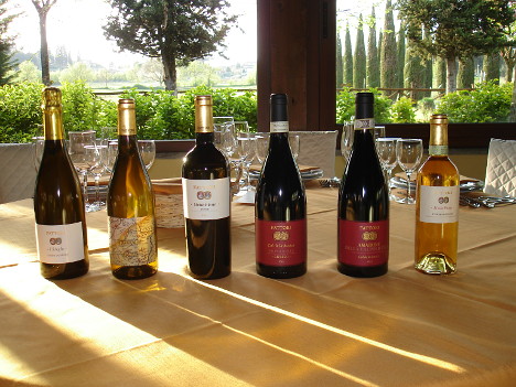 I sei vini della cantina Fattori degustati nel corso dell'evento