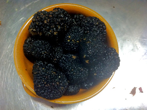 Summer Black Truffle, protagonist - with Winter black truffle - of all of this event's dishes