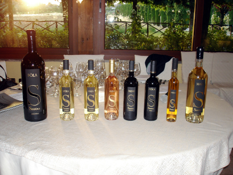 The six wines of Siddura tasted in the course of the event