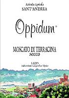 Oppidum 2006, Sant'Andrea (Italy)