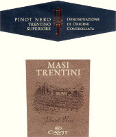 Trentino Superiore Pinot Nero Masi Trentini 2010, Cavit (Italia)