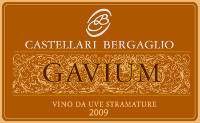 Gavium 2009, Castellari Bergaglio (Italia)