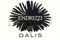 Dalis 2017, Endrizzi (Italy)