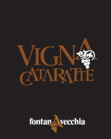 Aglianico del Taburno Riserva Vigna Cataratte 2017, Fontanavecchia (Italy)