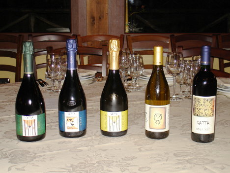 The five wines of Agricola Gatta tasted during the event