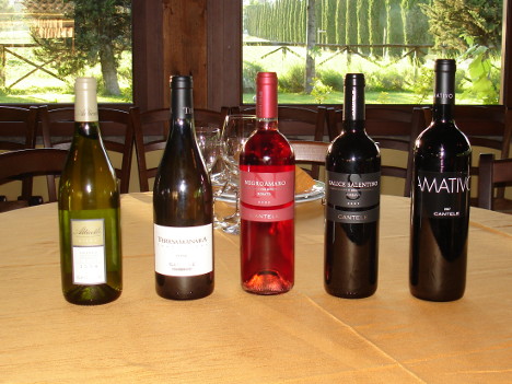 The five wines of Cantele winery tasted during the event