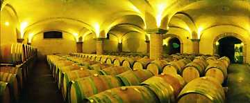 The cellar where Matteo Correggia's
wines age