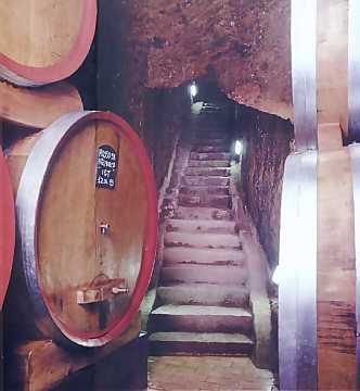 An underground cellar at I Borboni