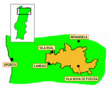 L'area di produzione del Porto